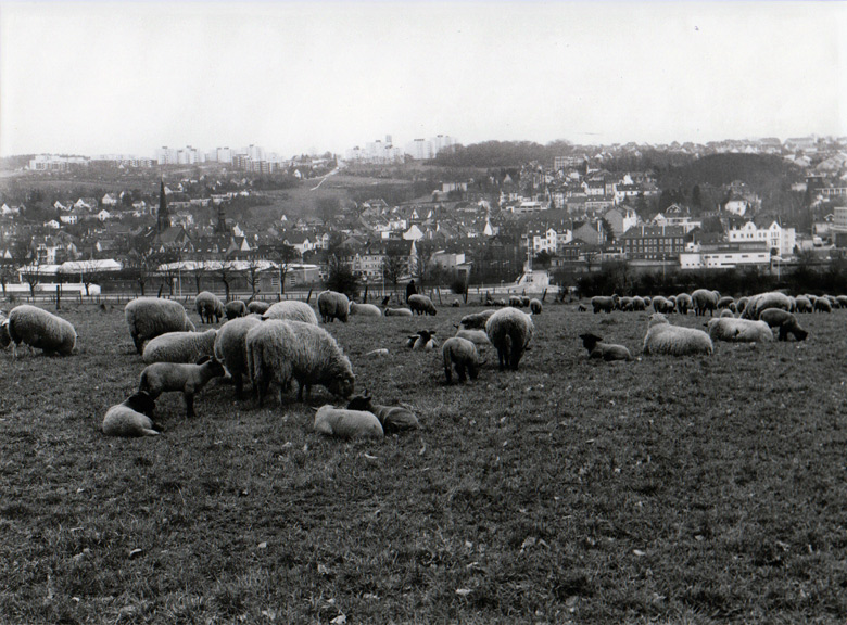 Das Vohwinkeler Feld auf einem Foto von März 1978